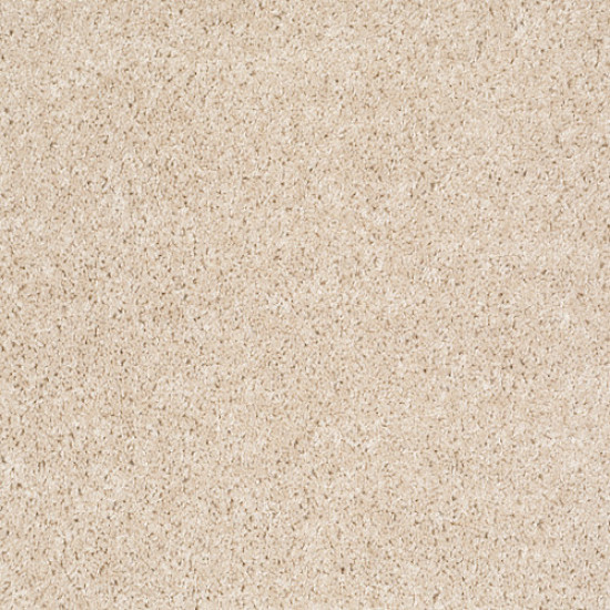 DREAMIN' 12' - Sand Dollar 00106 DREAMIN' 12' - Sand Dollar 00106