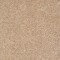 DREAMIN' 12' - Quiet Splendor 00121