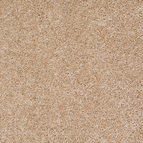 DREAMIN' 12' - Quiet Splendor 00121