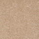 DREAMIN' 12' - Quiet Splendor 00121 DREAMIN' 12' - Quiet Splendor 00121