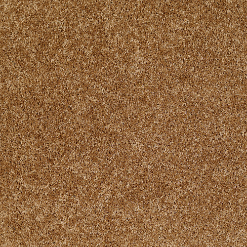 DREAMIN' 12' - New Cork 00200