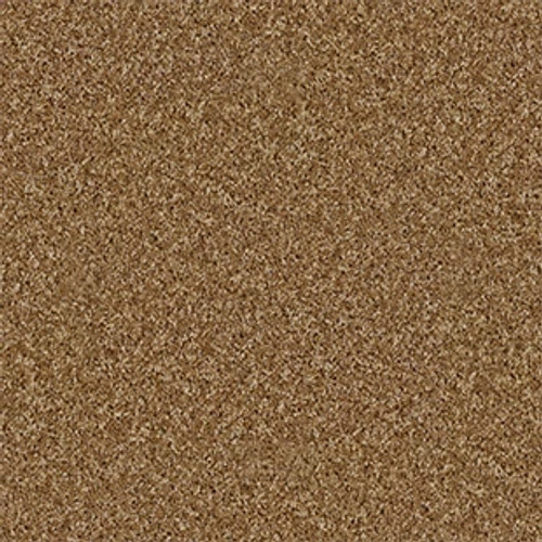 DREAMIN' 12' - New Cork 00200