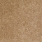 DREAMIN' 12' - Reed 00201