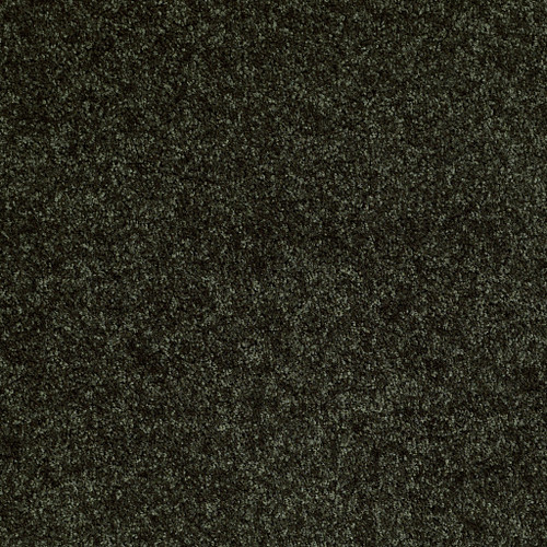 DREAMIN' 12' - Jaden 00302