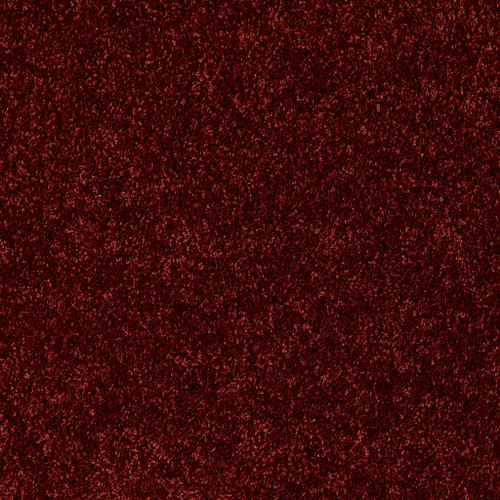 DREAMIN' 12' - Cayenne 00800