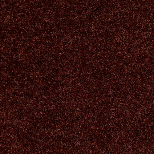 DREAMIN' 12' - Chianti 00801