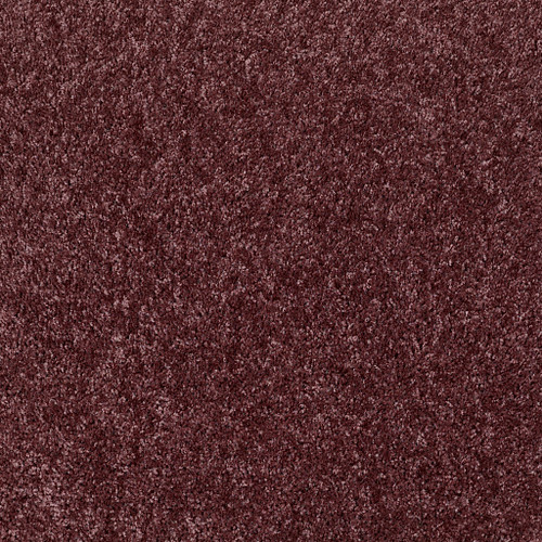 DREAMIN' 12' - Amethyst Sky 00900