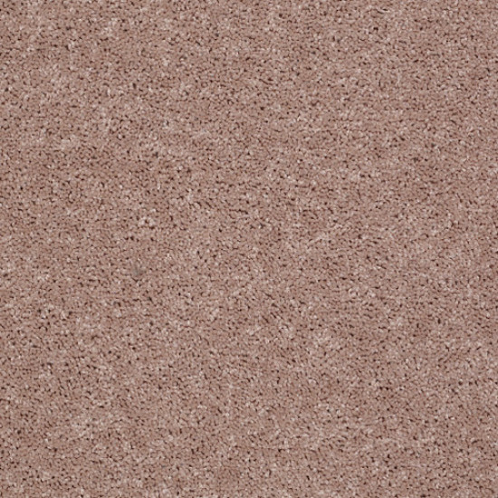 ALL STAR WEEKEND II 15' - Honeycomb 00201 ALL STAR WEEKEND II 15' - Honeycomb 00201