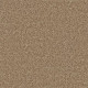 ALL STAR WEEKEND II 15' - Golden Echoes 00202 ALL STAR WEEKEND II 15' - Golden Echoes 00202