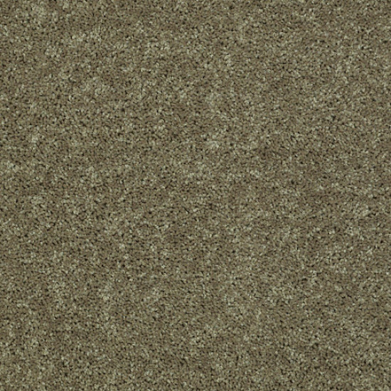 ALL STAR WEEKEND II 15' - Aloe 00300 ALL STAR WEEKEND II 15' - Aloe 00300