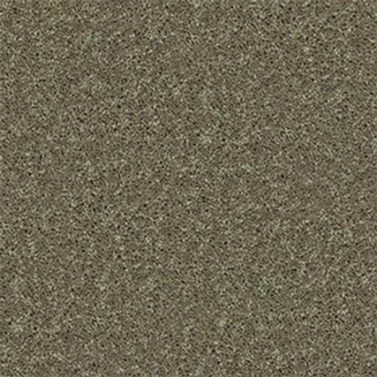 ALL STAR WEEKEND II 15' - Aloe 00300 ALL STAR WEEKEND II 15' - Aloe 00300