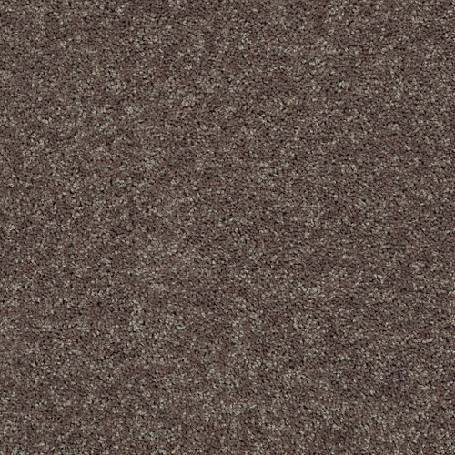 ALL STAR WEEKEND II 15' - Driftwood 00703