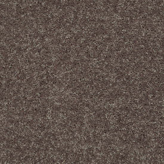 ALL STAR WEEKEND II 15' - Driftwood 00703 ALL STAR WEEKEND II 15' - Driftwood 00703