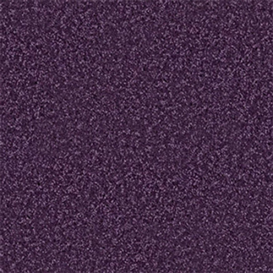 FULL COURT 15' - Grape Slushy 00931