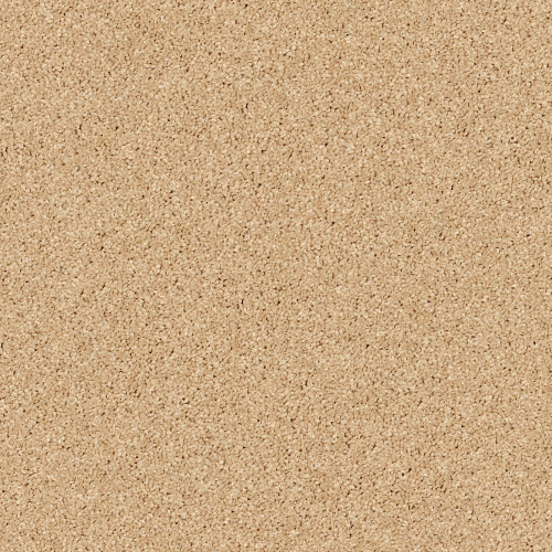 ALL STAR WEEKEND I 15' - Sun Beam 00240