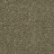 ALL STAR WEEKEND I 15' - Aloe 00300