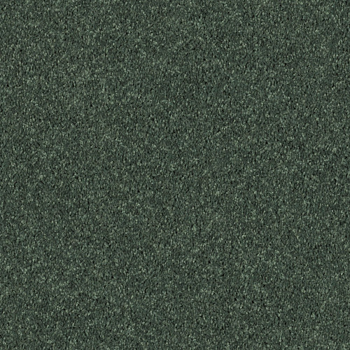 ALL STAR WEEKEND I 15' - Going Green 00340
