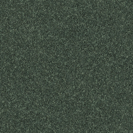 ALL STAR WEEKEND I 15' - Going Green 00340