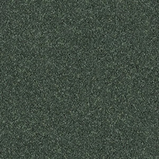 ALL STAR WEEKEND I 15' - Going Green 00340