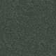 ALL STAR WEEKEND I 15' - Going Green 00340