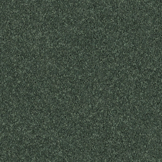 ALL STAR WEEKEND I 15' - Going Green 00340