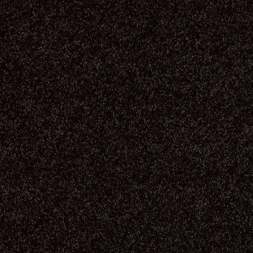 ALL STAR WEEKEND I 15' - Armour 00502