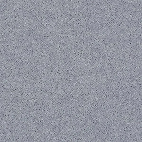 ALL STAR WEEKEND I 15' - Dolphin 00541