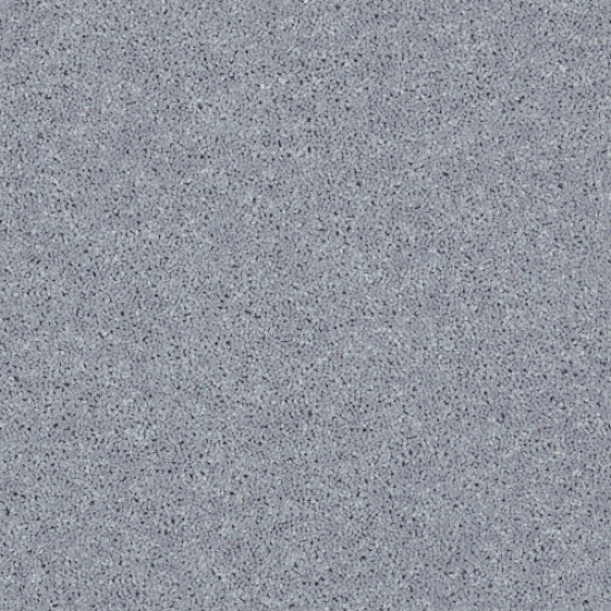 ALL STAR WEEKEND I 15' - Dolphin 00541