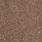 ALL STAR WEEKEND I 15' - Granola 00701