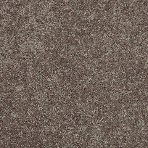 ALL STAR WEEKEND I 15' - Driftwood 00703