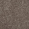 ALL STAR WEEKEND I 15' - Driftwood 00703