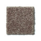 ALL STAR WEEKEND I 15' - Driftwood 00703