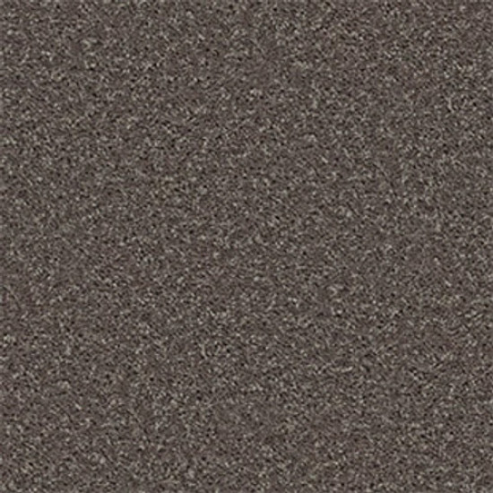 ALL STAR WEEKEND I 15' - Driftwood 00703