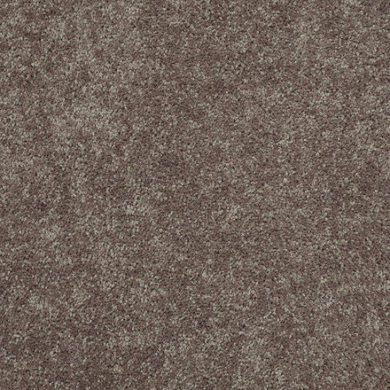 ALL STAR WEEKEND I 15' - Driftwood 00703