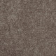 ALL STAR WEEKEND I 15' - Driftwood 00703