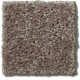 ALL STAR WEEKEND I 15' - Driftwood 00703