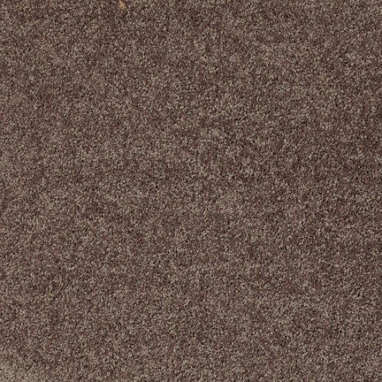ALL STAR WEEKEND I 15' - Barn Beam 00740 ALL STAR WEEKEND I 15' - Barn Beam 00740
