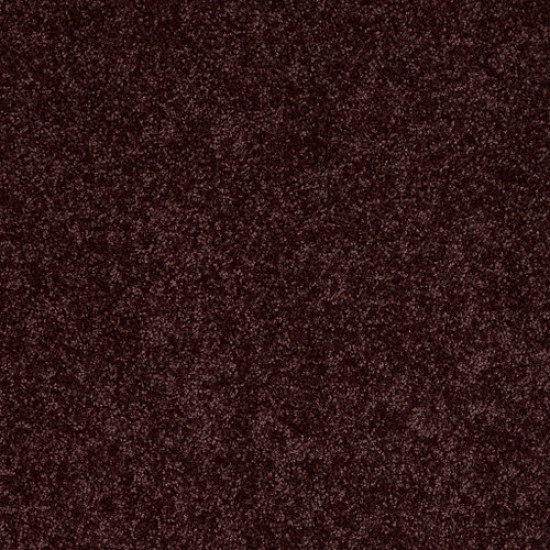 ALL STAR WEEKEND I 15' - Royal Purple 00902 ALL STAR WEEKEND I 15' - Royal Purple 00902