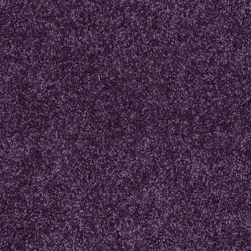 ALL STAR WEEKEND I 15' - Grape Slushy 00931