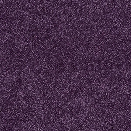 ALL STAR WEEKEND I 15' - Grape Slushy 00931