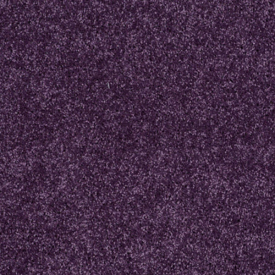 ALL STAR WEEKEND I 15' - Grape Slushy 00931 ALL STAR WEEKEND I 15' - Grape Slushy 00931