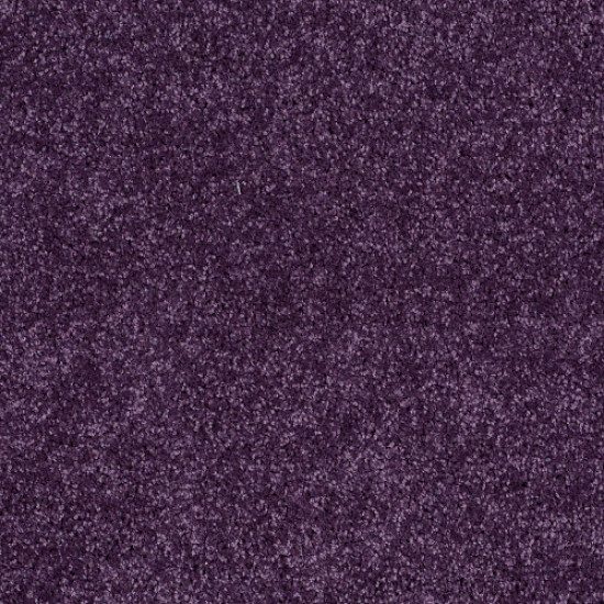 ALL STAR WEEKEND I 15' - Grape Slushy 00931 ALL STAR WEEKEND I 15' - Grape Slushy 00931