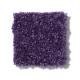 ALL STAR WEEKEND I 15' - Grape Slushy 00931 ALL STAR WEEKEND I 15' - Grape Slushy 00931