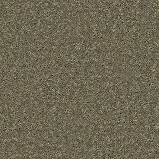 ALL STAR WEEKEND III 12' - Aloe 00300 ALL STAR WEEKEND III 12' - Aloe 00300