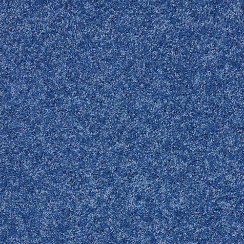 KID CROSSING - Cobalt Vibe 00431