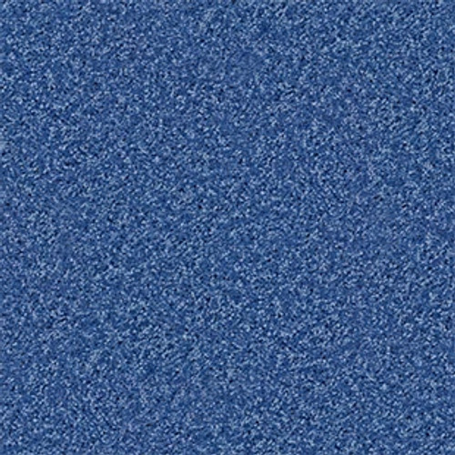 KID CROSSING - Cobalt Vibe 00431