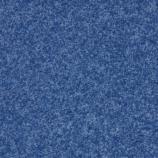 KID CROSSING - Cobalt Vibe 00431 KID CROSSING - Cobalt Vibe 00431