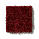 ALL STAR WEEKEND III 12' - Red Wine 00801