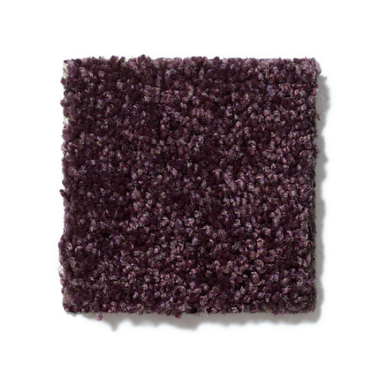 ALL STAR WEEKEND III 12' - Royal Purple 00902 ALL STAR WEEKEND III 12' - Royal Purple 00902