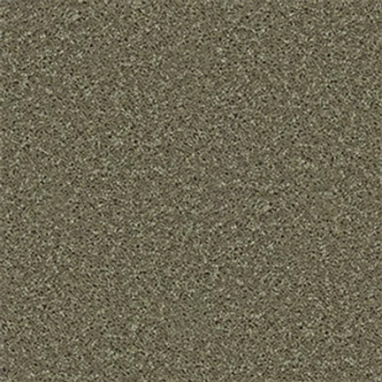 ALL STAR WEEKEND III 15' - Aloe 00300 ALL STAR WEEKEND III 15' - Aloe 00300